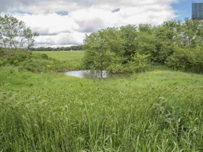 Scorgiamo lo specchio d�acqua gi� dalla strada, parzialmente celato dalle querce roverelle che lo circondano